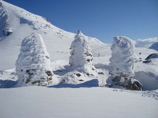 Appartamento per vacanze Piesendorf Ambiente 18