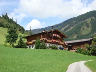 Appartamento per vacanze Piesendorf Registrazione all'aperto 5