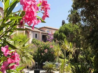 Apartment Hyères  2