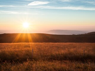 Holiday apartment Friedenweiler Environment 25