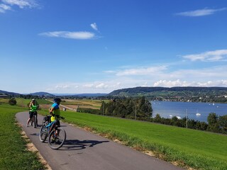 Holiday apartment Friedenweiler Environment 29