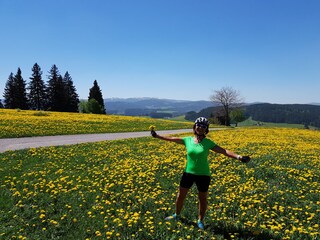 Holiday apartment Friedenweiler Environment 32