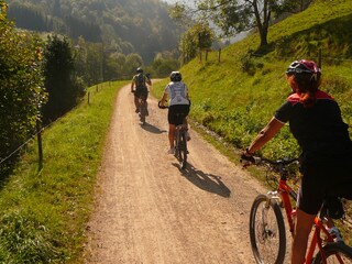 Holiday apartment Friedenweiler Environment 33