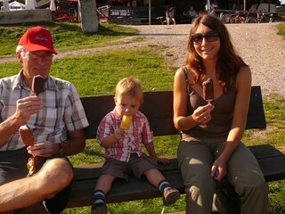 Holiday apartment Friedenweiler Environment 34