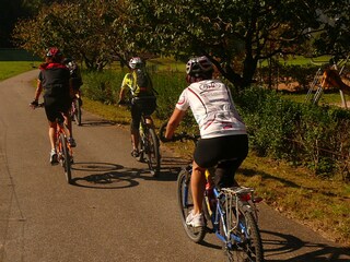 Holiday apartment Friedenweiler Environment 36