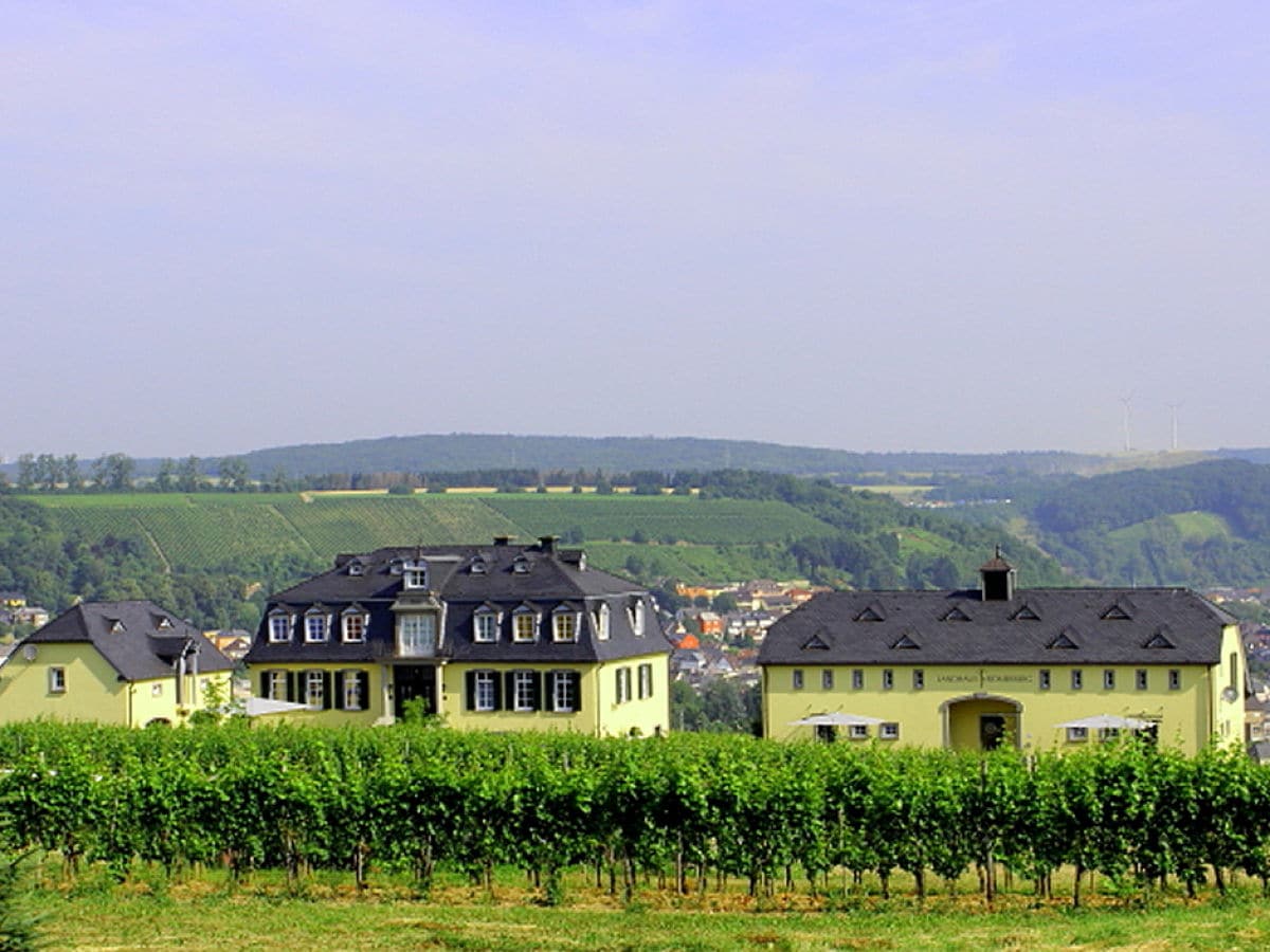 Panoramansicht Weingut Palzer