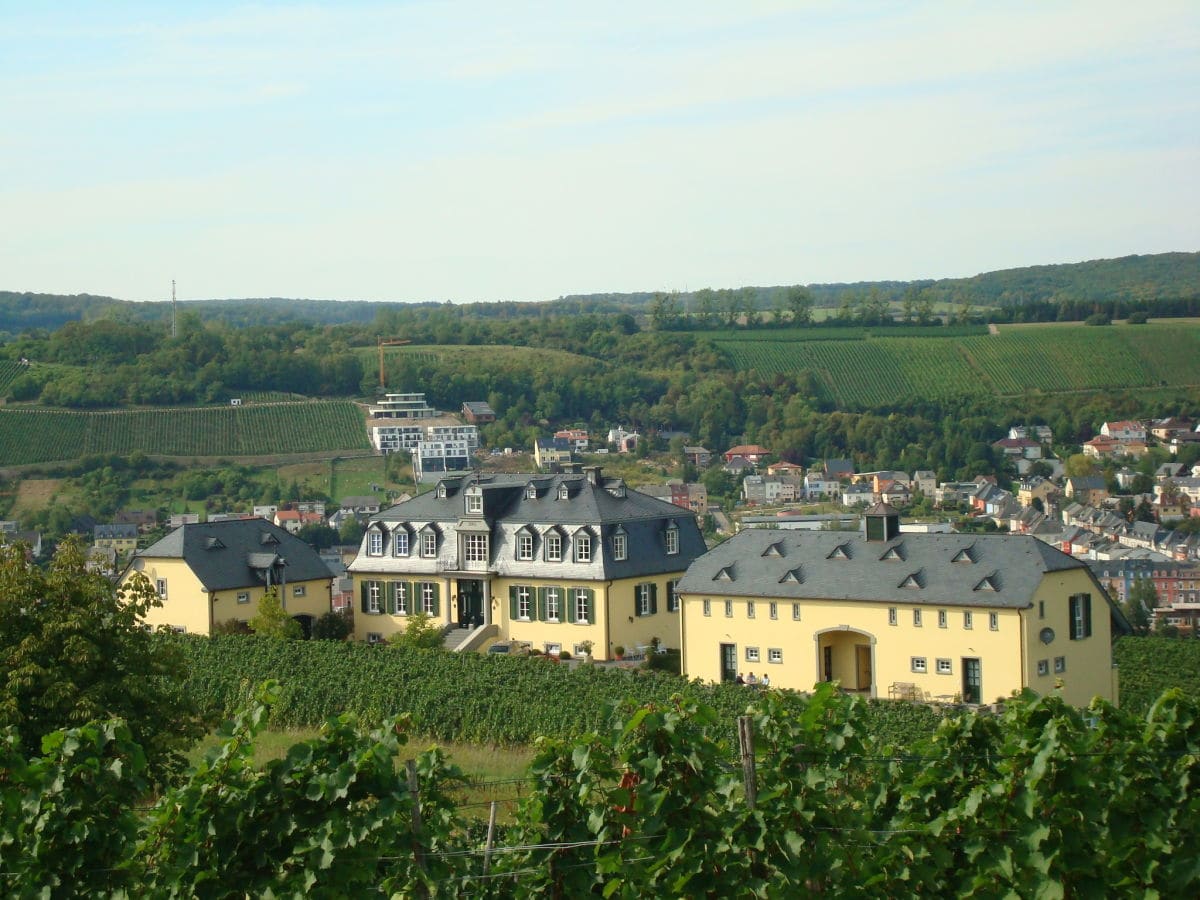 Weingut Palzer - Natur pur