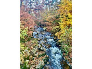 Ferienwohnung Schierke Außenaufnahme 29