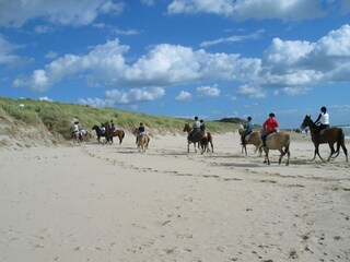 Reiten am Strand