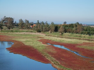 Natur Gebiet Plan Tureluur