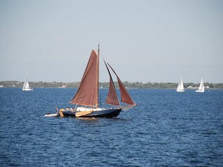Vakantiehuis Brouwershaven Omgeving 22