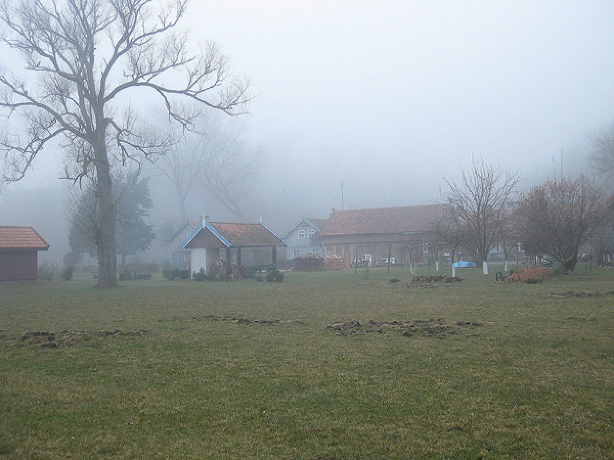 Nebel