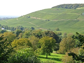 Valley Weilental and Roemerberg (mountain)