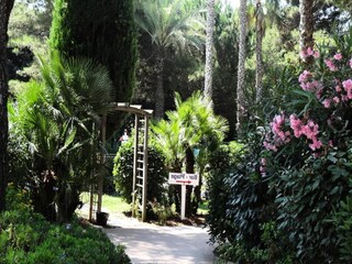 Apartment Hyères Außenaufnahme 15