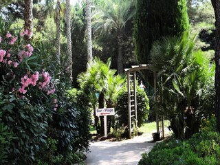 Apartment Hyères Außenaufnahme 29