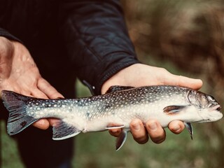 Holiday apartment Bad St. Leonhard Outdoor Recording 8