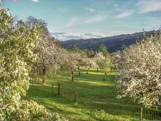 Holiday apartment Bad St. Leonhard Outdoor Recording 18