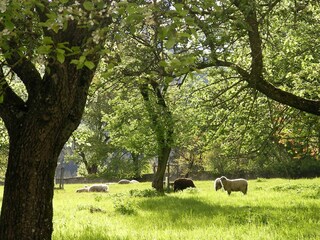 Holiday apartment Bad St. Leonhard Outdoor Recording 17