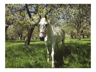 Holiday apartment Bad St. Leonhard Outdoor Recording 19