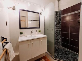 Apartment Saint François  4
