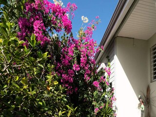 Apartment Sainte-Anne (Guadeloupe)  13