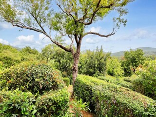Appartement Grimaud  18