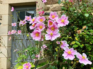 Casa per le vacanze Plouha Registrazione all'aperto 7