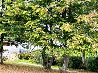 Casa de vacaciones Plouha Grabación al aire libre 2