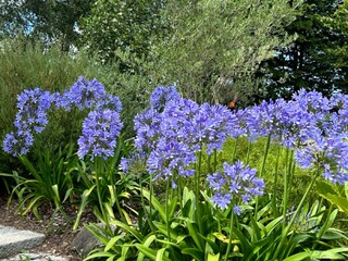 Casa per le vacanze Plouha Registrazione all'aperto 5