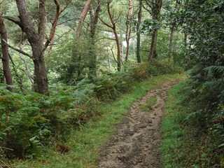 Casa per le vacanze Plouha Registrazione all'aperto 9