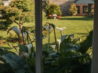 Casa per le vacanze Plouha Registrazione all'aperto 18