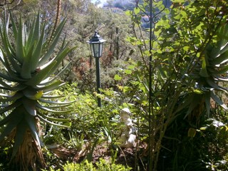 Appartement Roquebrune-Cap Martin Omgeving 6