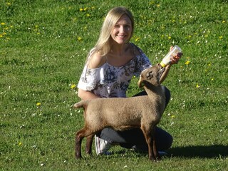 Casa de vacaciones Plütscheid Entorno 30