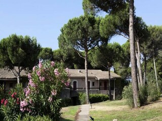 Appartement Saint-Raphael  9