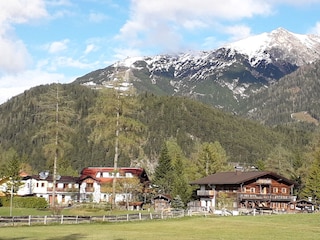 der frühe Frühling