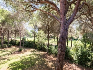 Apartment Saint-Raphael  15