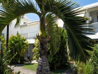 Apartamento Saint François  20
