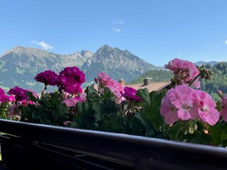 Appartamento per vacanze Obermaiselstein Registrazione all'aperto 4