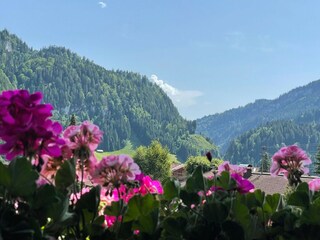Apartamento de vacaciones Obermaiselstein Grabación al aire libre 5