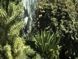 Apartment Saint François  23