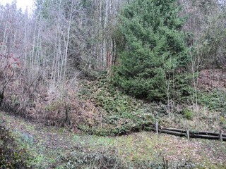 Apartamento Saint-Gervais-les-Bains Grabación al aire libre 6