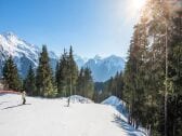 Apartment Champagny-en-Vanoise  1