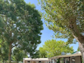 Apartamento Notre-Dame-de-Monts Grabación al aire libre 16