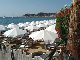 Apartment Cavalaire-sur-Mer Environment 31