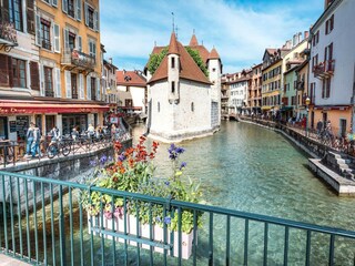 Apartment Annecy Environment 23