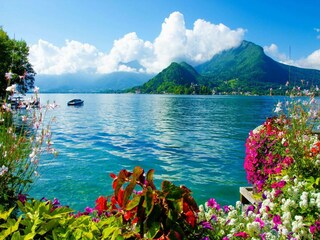 Apartment Annecy Environment 24