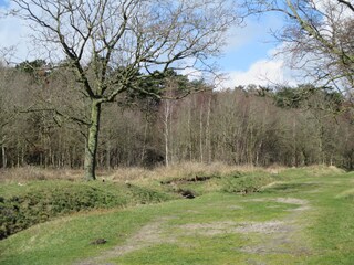 Appartamento per vacanze De Koog Ambiente 27