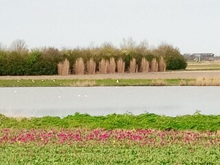 Vakantieappartement De Koog Kenmerken 22