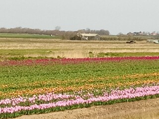 Appartamento per vacanze De Koog Caratteristiche 23