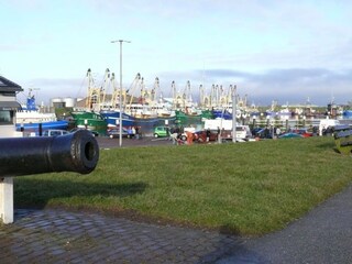 Vakantieappartement De Koog Omgeving 24